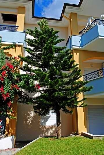 Vila Partenis thumbnail 6