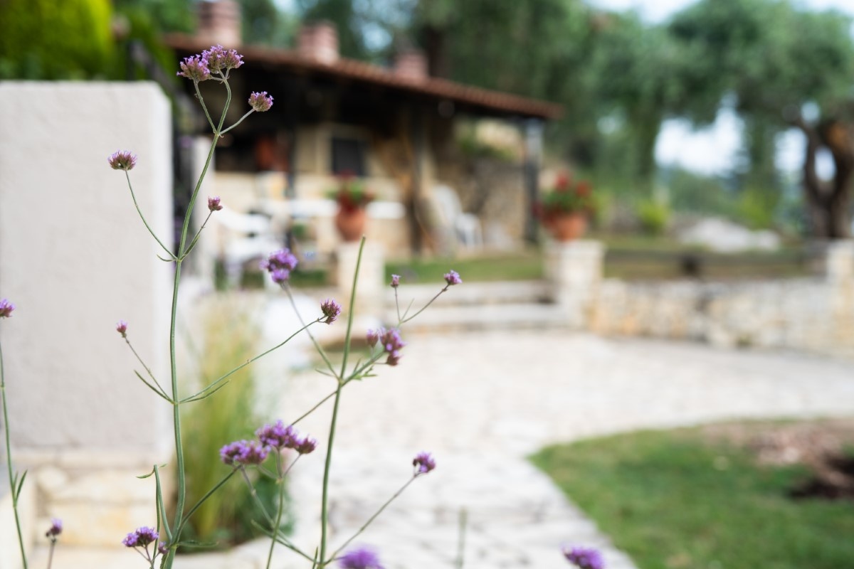 Vila Poseidon thumbnail 11