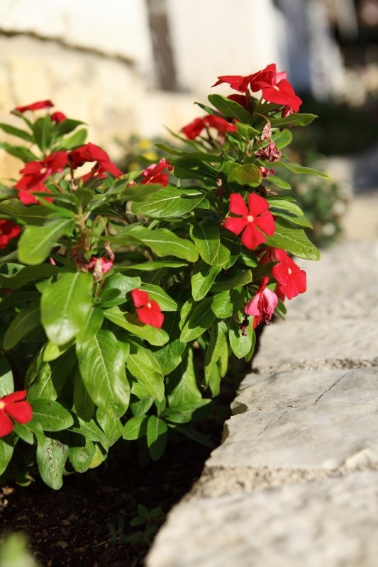 Vila Poseidon thumbnail 7