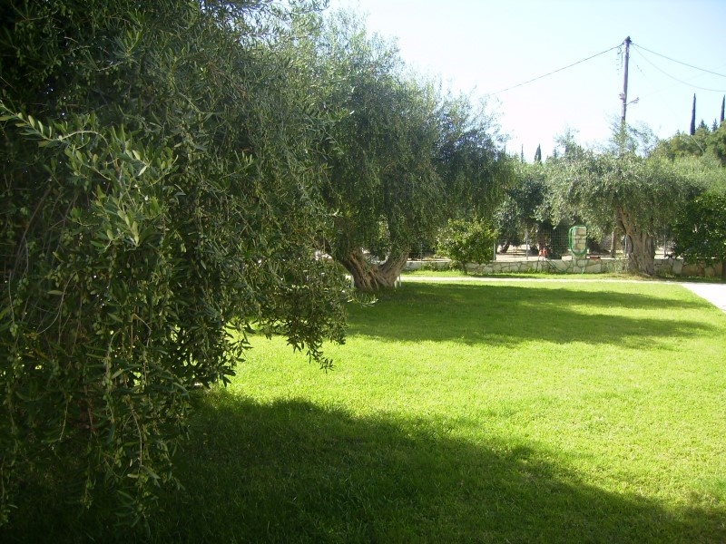 Vila Poseidon thumbnail 8