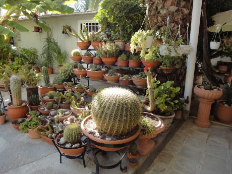 Vila Poseidonio thumbnail 19