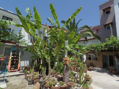 Vila Poseidonio thumbnail 21