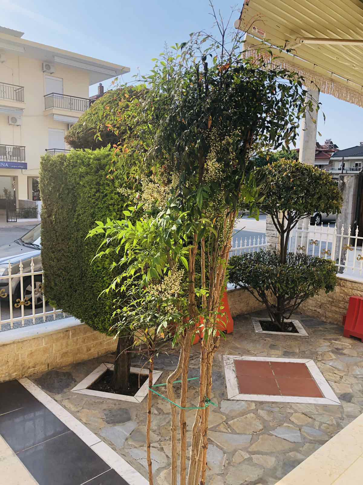 Vila Prapas (Ex Matula) thumbnail 3