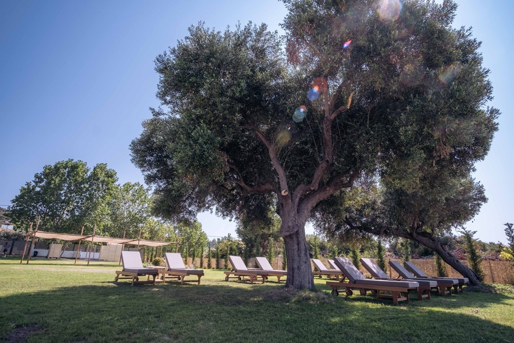 Vila Santa Ana Studios thumbnail 21