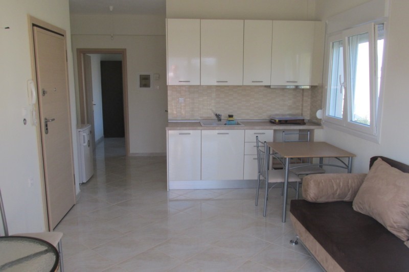 Vila Sofia thumbnail 10