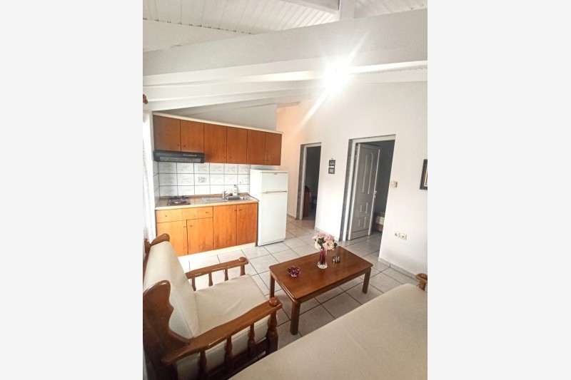 vila stela thumbnail 6