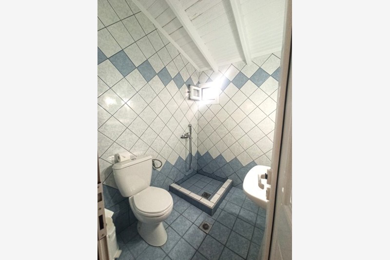 vila stela thumbnail 9