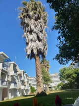 Vila Sunny Days - 2