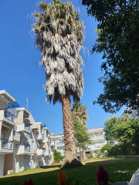 Vila Sunny Days - 2