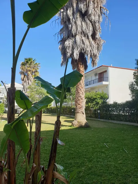 Vila Sunny Days - 3