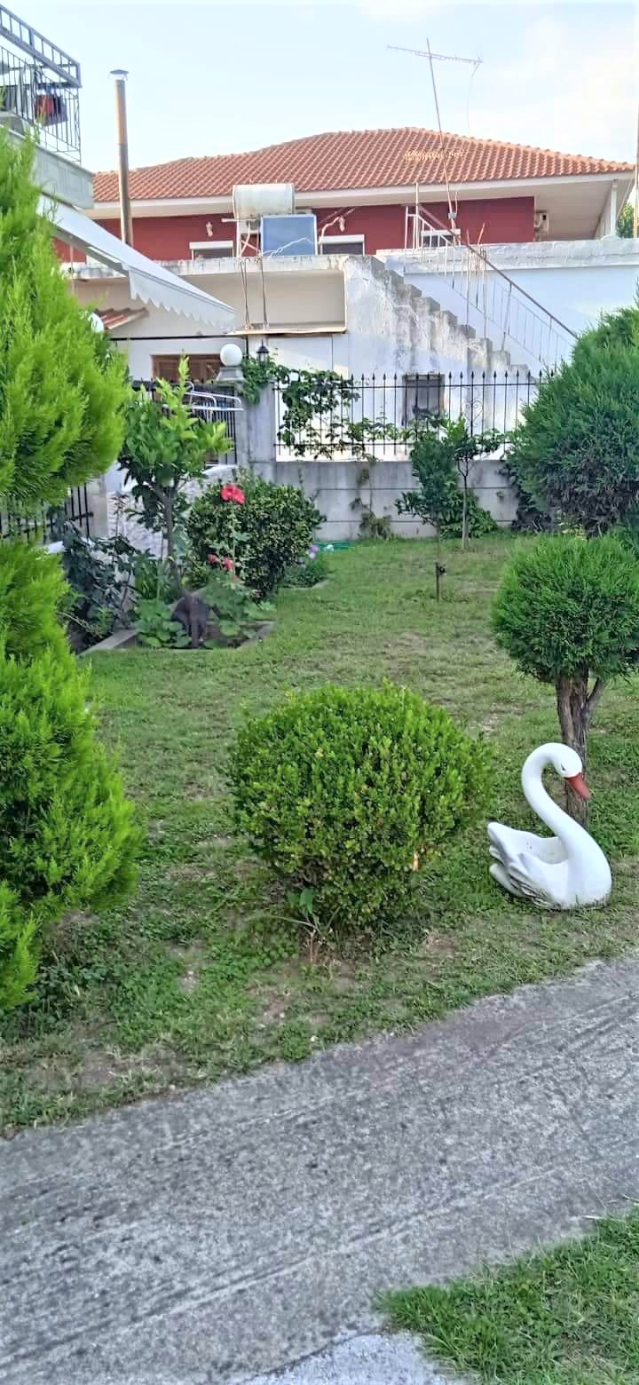 Vila Takis thumbnail 31