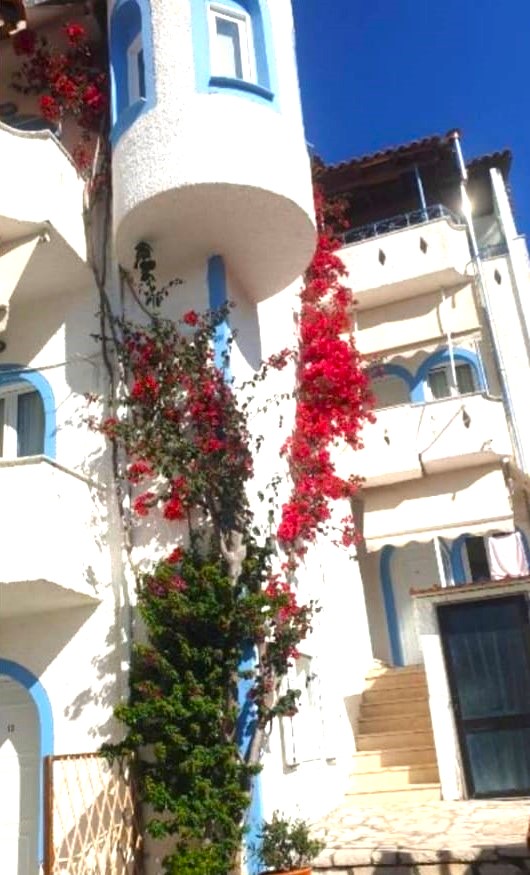 Vila Vavas thumbnail 15