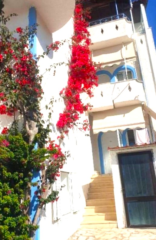 Vila Vavas thumbnail 16