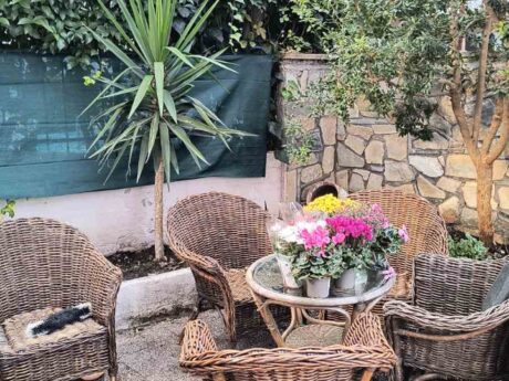 Vila Viktoria thumbnail 37