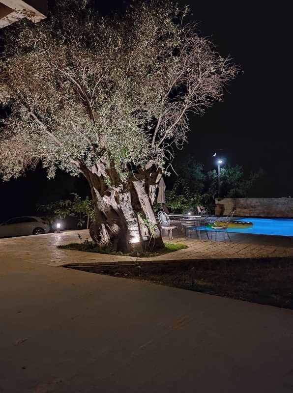 Vila Zefiros Luxury Resort thumbnail 13