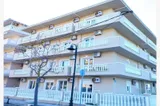 Vila Zinon (ex Grand Živanović) - 2