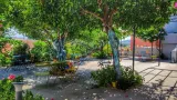 Aethra Boutique - 5