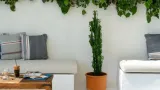 Akti Boutique - 4
