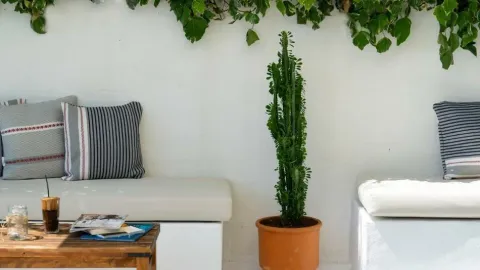 Akti Boutique - 4