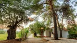 Alykes Park - 2