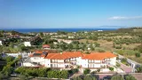 Ampelia - 5