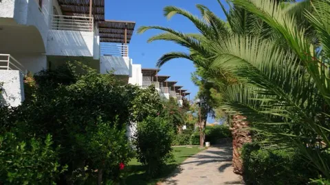 Bungalow Garden View