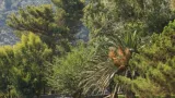 Atlantica Grand Mediterraneo Resort - 3