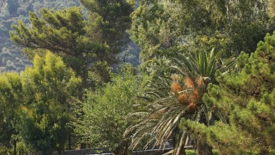 Atlantica Grand Mediterraneo Resort - 3