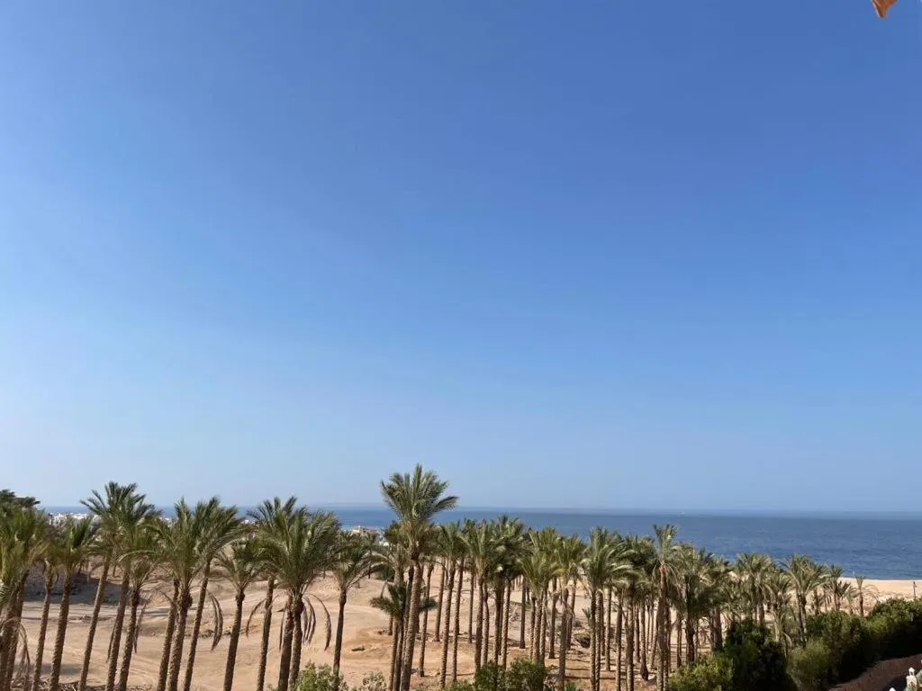 Baron Palace Sahl Hasheesh