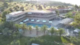 Blue Dolphin - 3