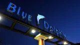 Blue Dolphin - 5