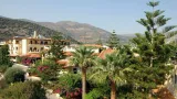 Cactus Beach - 5