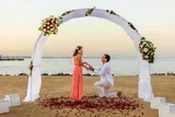 Desert Rose Resort - 5