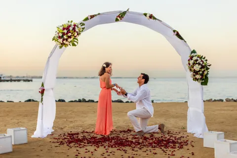 Desert Rose Resort - 5