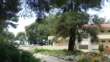 Dryades - 3