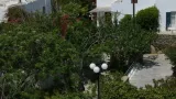 Elena Hotel Mykonos - 4
