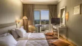 Fenix - 4