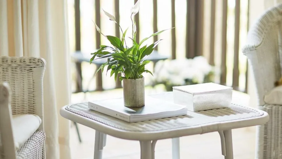 Family Bungalow Garden View