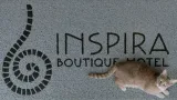 Inspira Boutiqe - 5