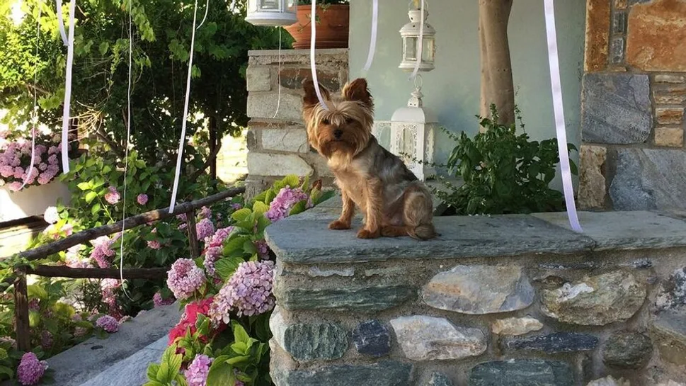 Kentrikon Boutique - 5