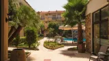 Litus Oliva - 3