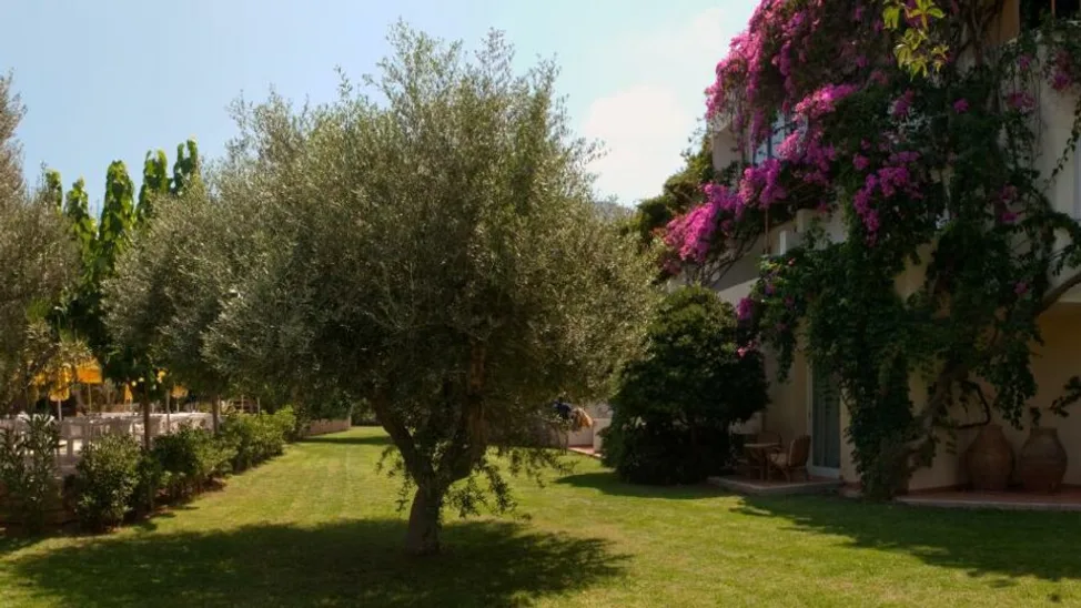 Mitsis Bali Paradise - 5