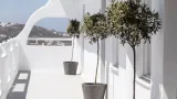 My Mykonos Boutique Hotel - 5