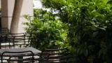 Odeon Athens - 3