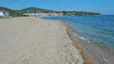 Olea Garden - 2