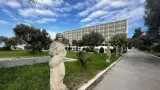 Palmariva - 2