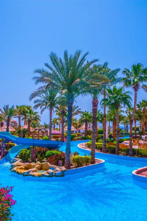 Pickalbatros Blu Spa Resort - 4