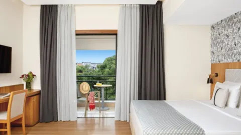 Premium Room Mountain View