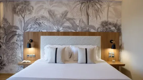 Superior Room Mountain View