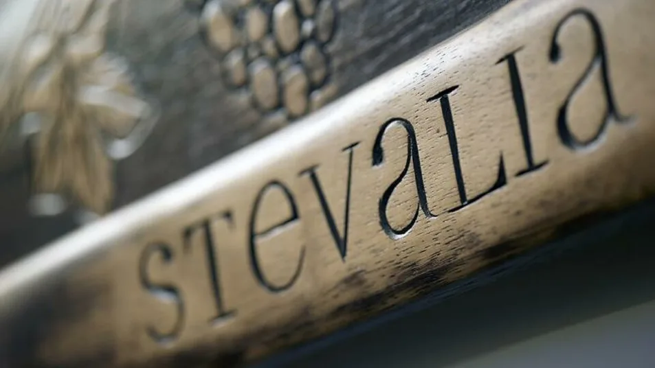 Stevalia Hotel & Spa - 2